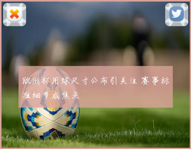 欧洲杯用球尺寸公布引关注 赛事标准细节成焦点
