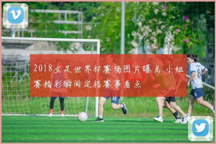 2018女足世界杯赛场图片曝光 小组赛精彩瞬间定格赛事看点