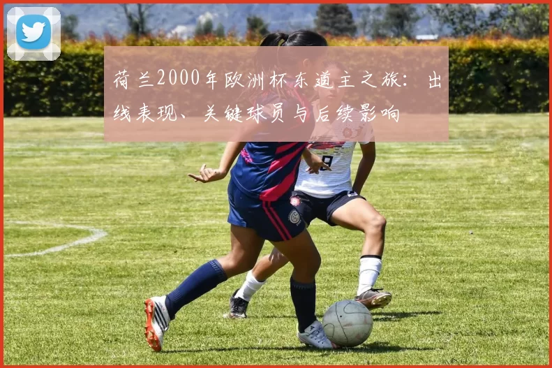 荷兰2000年欧洲杯东道主之旅：出线表现、关键球员与后续影响