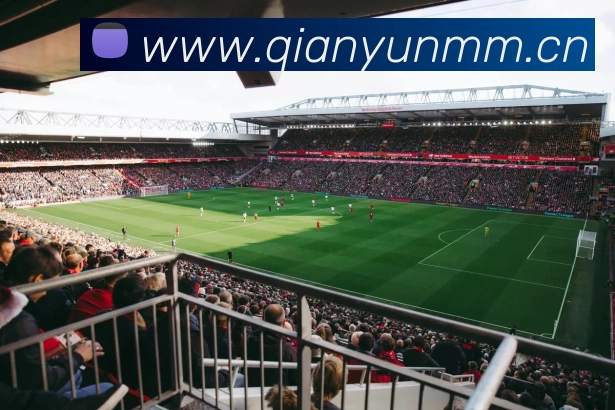 App Interface Preview